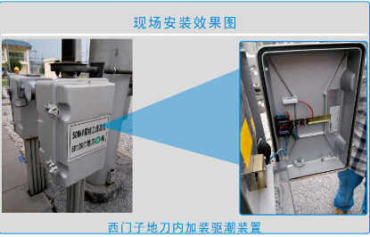 双路温控仪